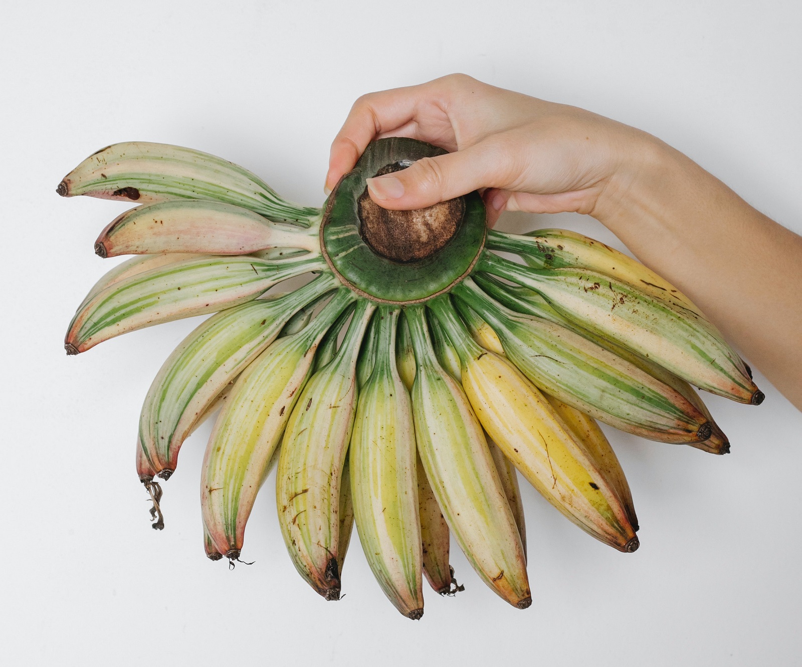 5 urodowych właściwości skórki banana